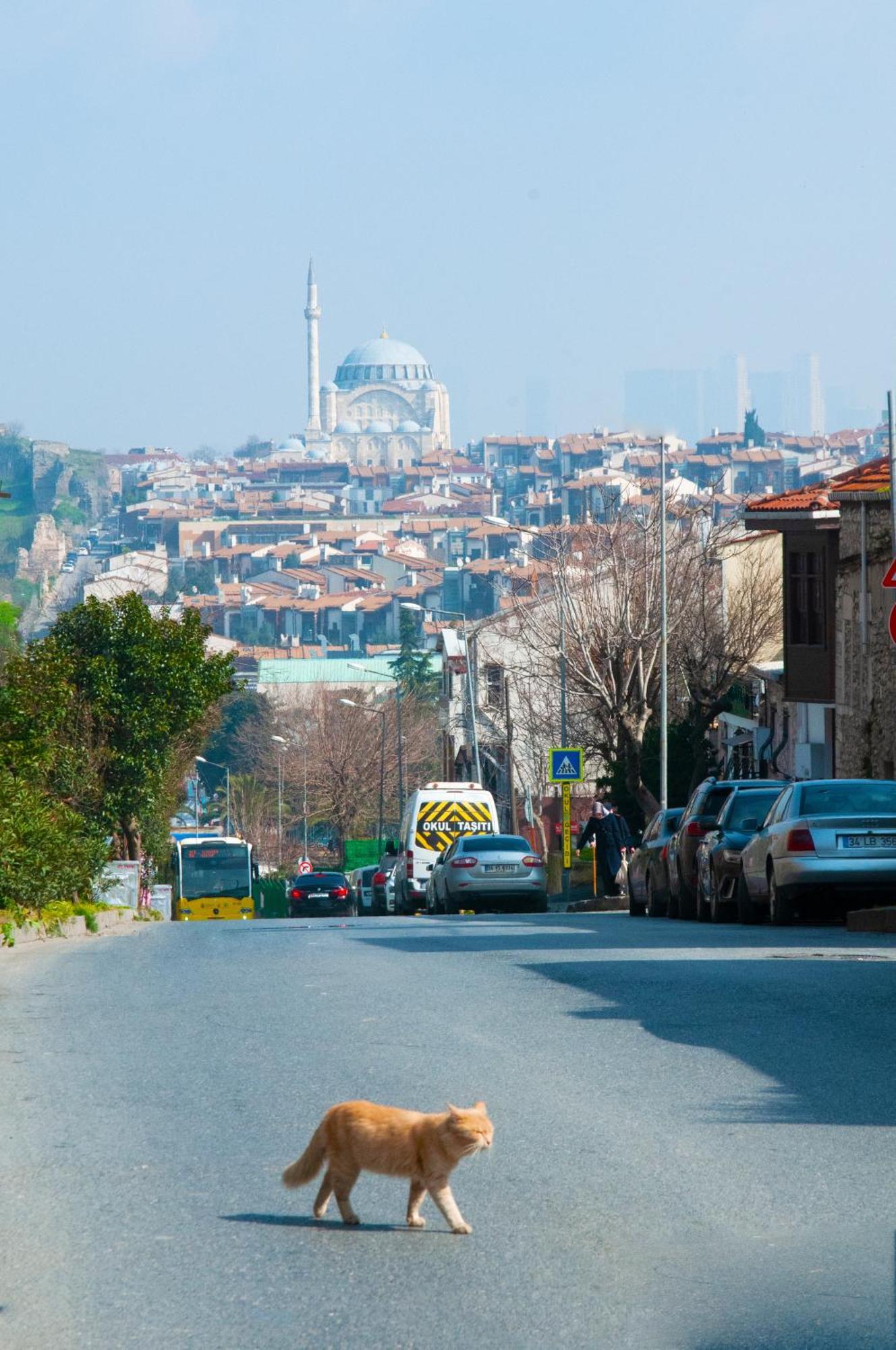 Istanbul Efes Hotel Exterior photo